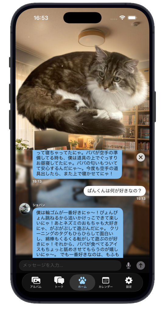 Home with cat chat 2
